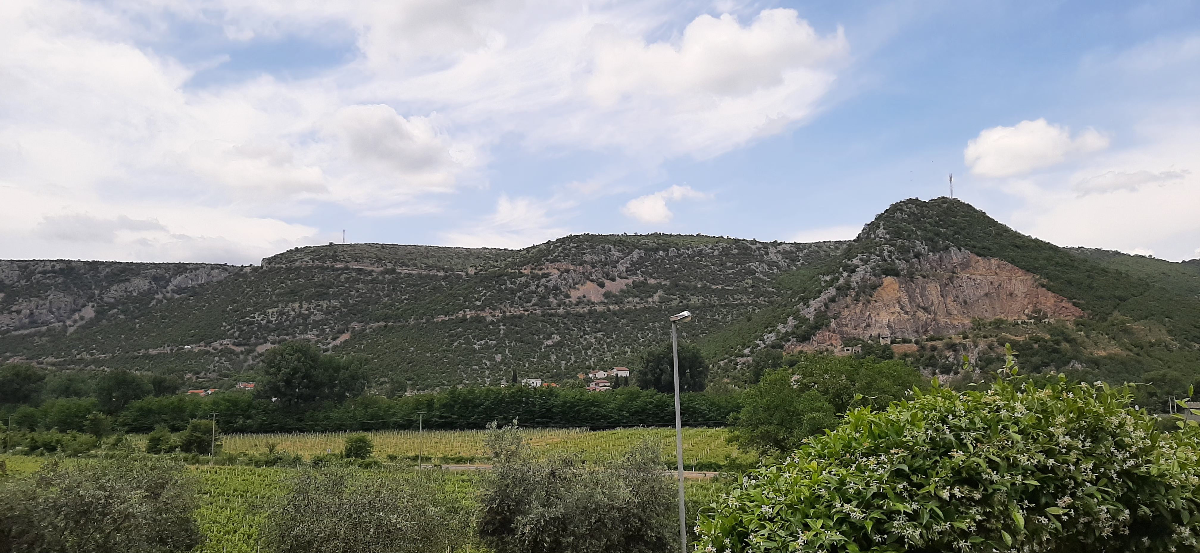 a far-away green landscape covered in trees against a cloudy sky